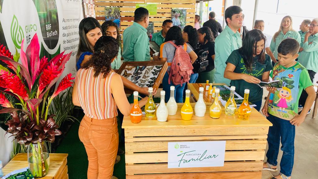 Concórdia do Pará faz parceria com iniciativa privada para reflorestamento do município da região de Tomé-Açu