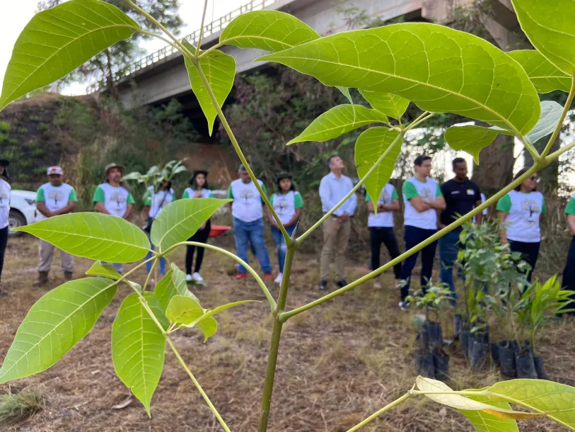 MP e Casa da Cultura iniciam criação de parque ambiental
