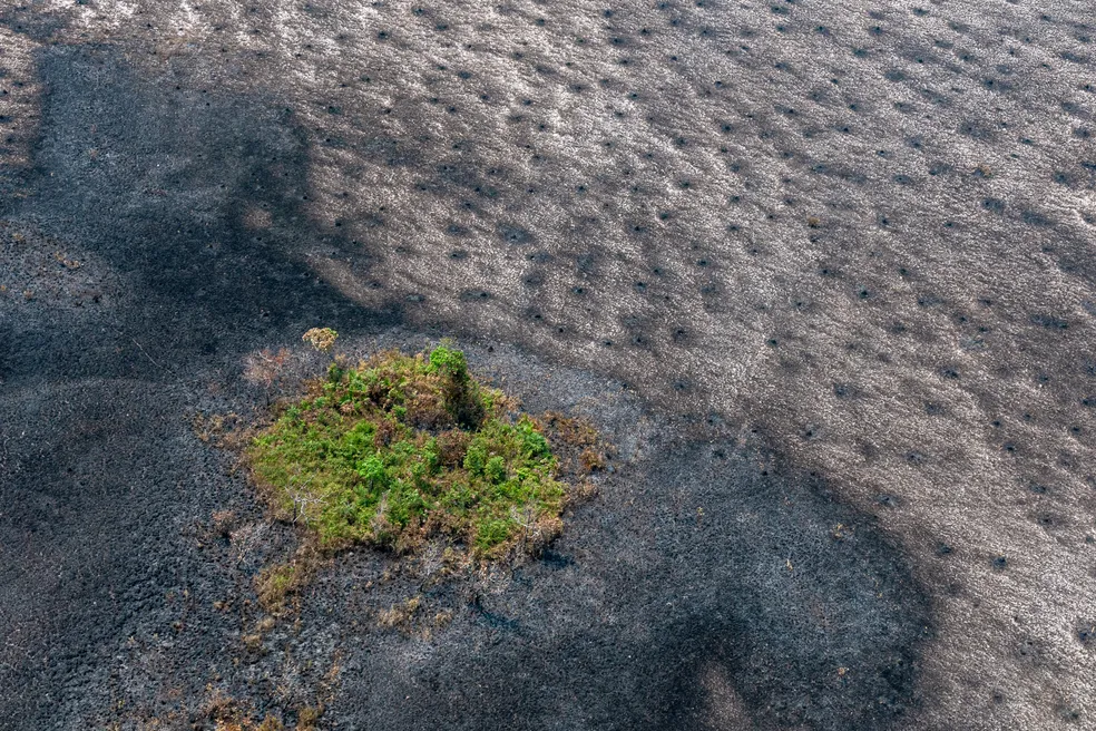 Focos de calor na Amazônia crescem 10,7% no 1º semestre e atingem maior taxa desde 2019