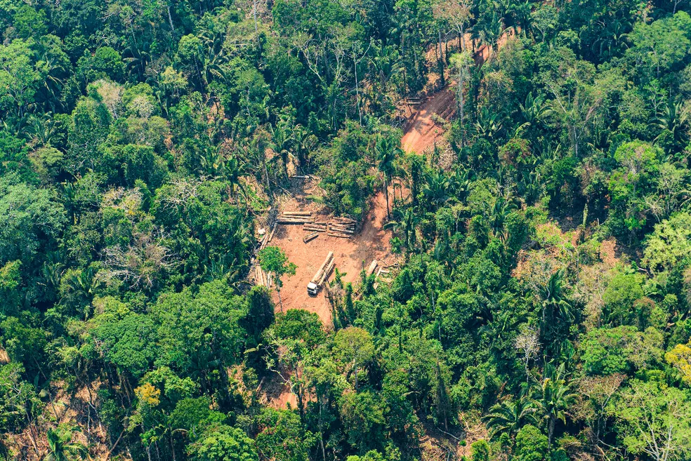 Uma a cada cinco mortes violentas registradas no Brasil em 2022 aconteceu na Amazônia Legal