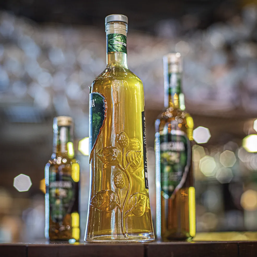 Cachaça de jambu: sucesso na região Norte do Brasil e que deixa a boca dormente