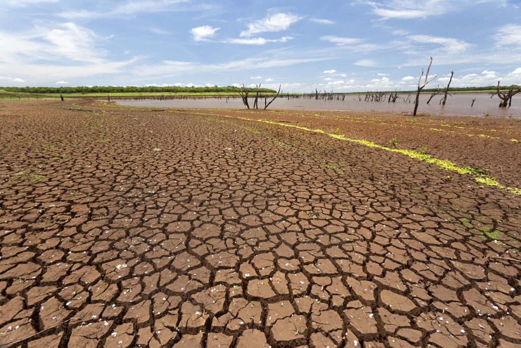 Seca é a pior dos últimos 40 anos em 8 estados do Norte e do Nordeste