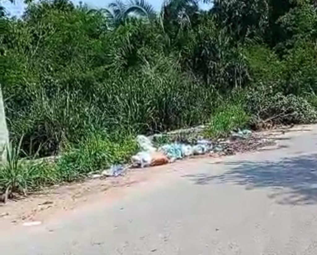Populares descartam lixo no meio da Rua em Redenção, denuncia moradora