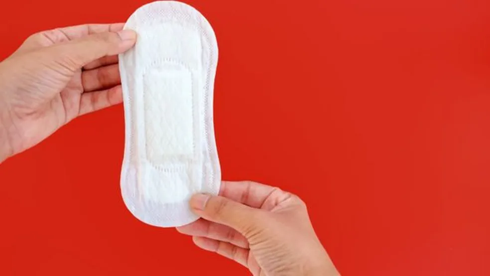 Governo do Pará veta PL de licença menstrual para servidoras públicas