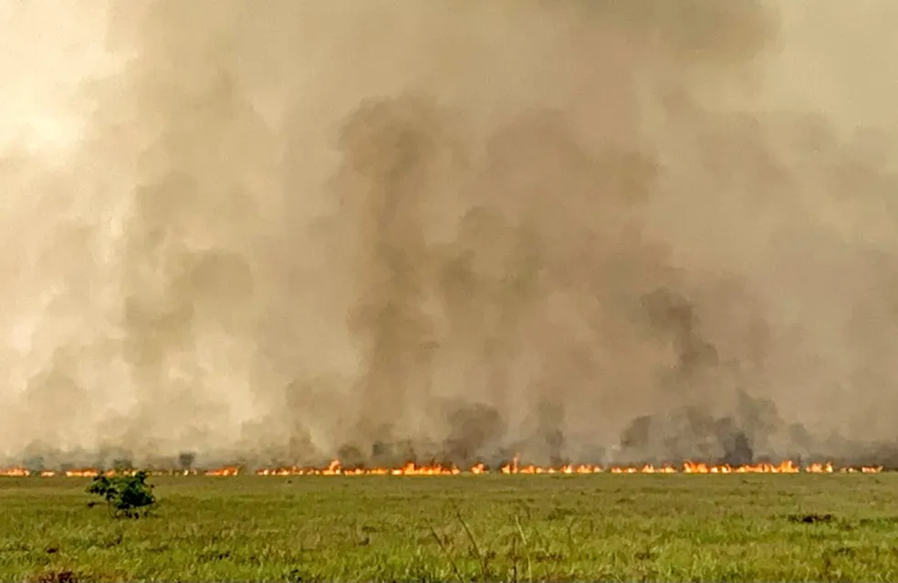 Incêndios no Pantanal devastam 258 mil hectares em duas semanas, diz levantamento