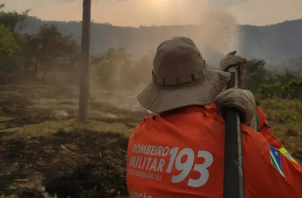 Chuva no Pantanal zera focos de incêndio e freia devastação recorde