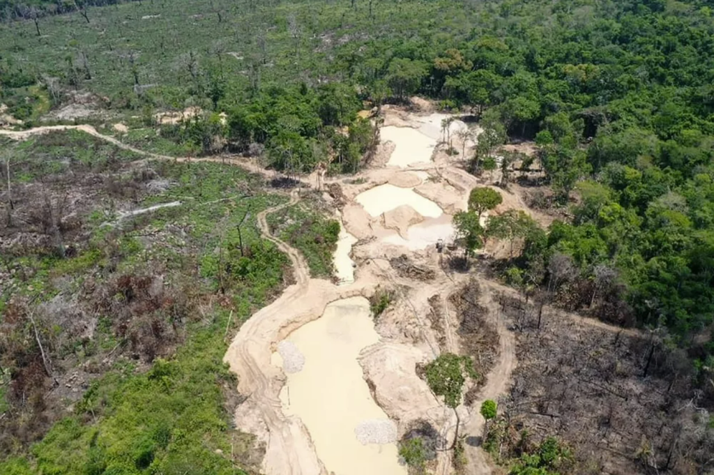 Homem que devastou mais de 2 mil campos de futebol em área de preservação na Amazônia é preso no sul do Pará