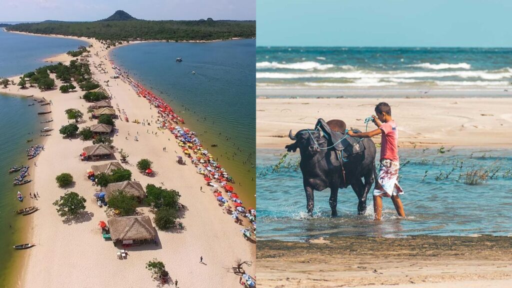 Marajó e Alter do Chão estão entre os destinos mais procurados para turismo em 2024