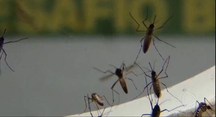 Brasil registra mais de 1 milhão de casos de dengue em 2024; mortes chegam a 214