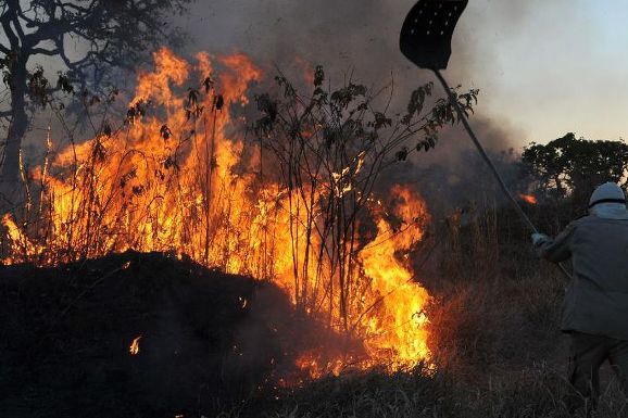 Roraima é o estado com maior número de incêndios em fevereiro