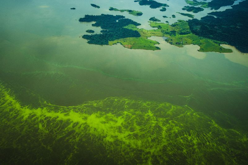 Pará registra queda de 59% nos alertas de desmatamento no mês de março