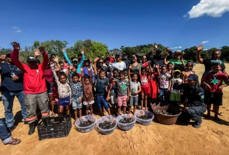 Crianças participam da soltura de mais de 3 mil quelônios em São Geraldo do Araguaia