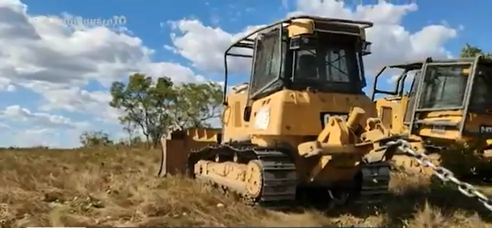 Tocantins perdeu mais de 26 hectares de mata nativa por hora em 2023, diz relatório