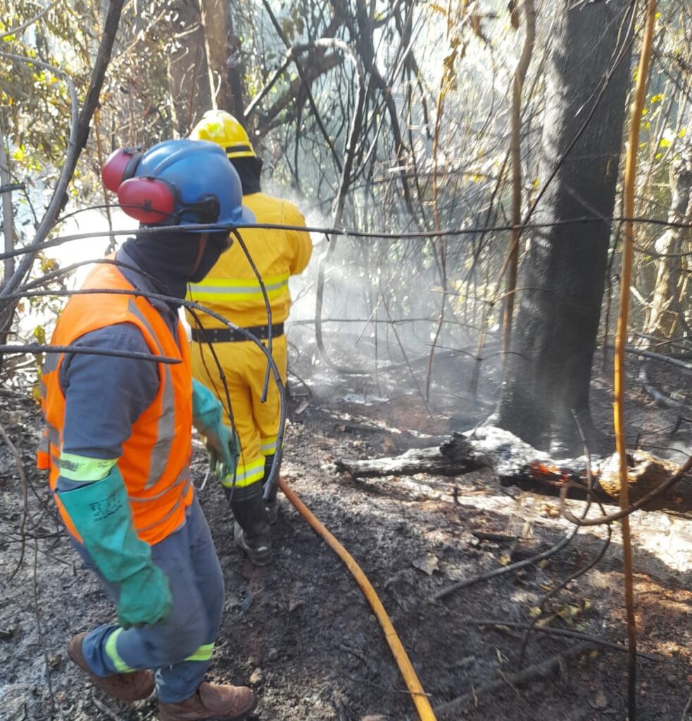 Fogo na floresta fecha estrada e aeroporto em Carajás