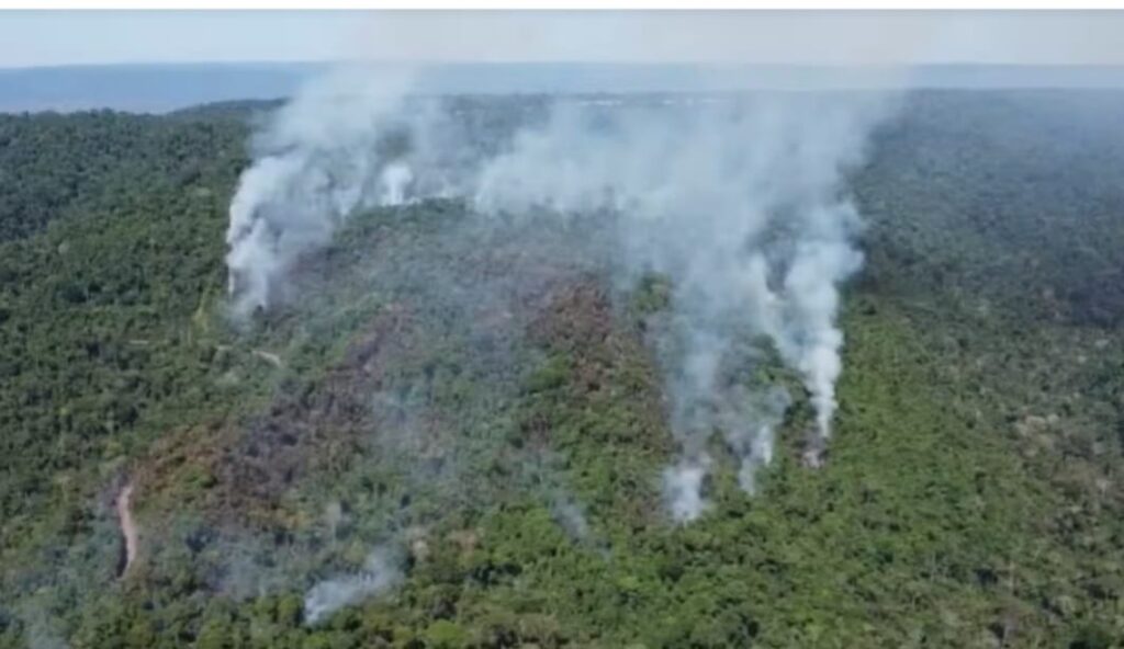 Governo proíbe uso de fogo e decreta situação de emergência no Pará