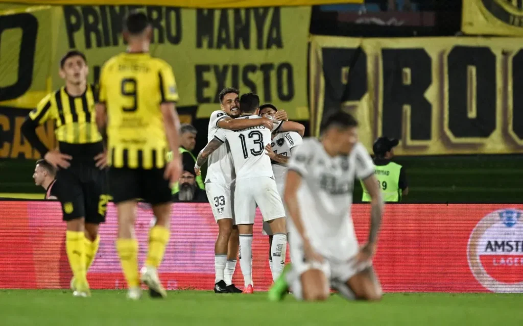 Botafogo e Atlético/MG são os finalistas da Libertadores da América