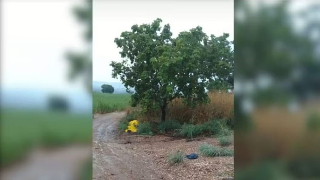 Raio mata dois funcionários de usina e deixa outros três feridos em Goiás