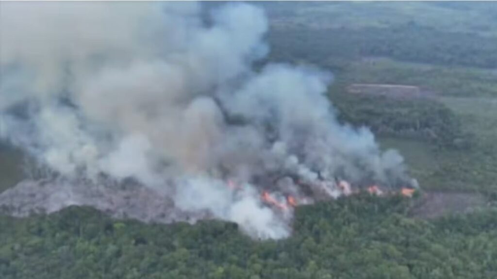 Pará é responsável por quase metade dos incêndios florestais na Amazônia, aponta Mapbiomas