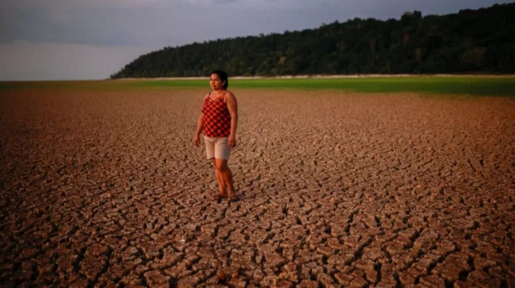 Observatório já calcula que 2024 será o ano mais quente da história humana