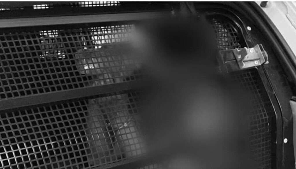 No TO, Homem suspeito de estuprar a própria irmã de 13 anos é preso após ela contar sobre violência na escola