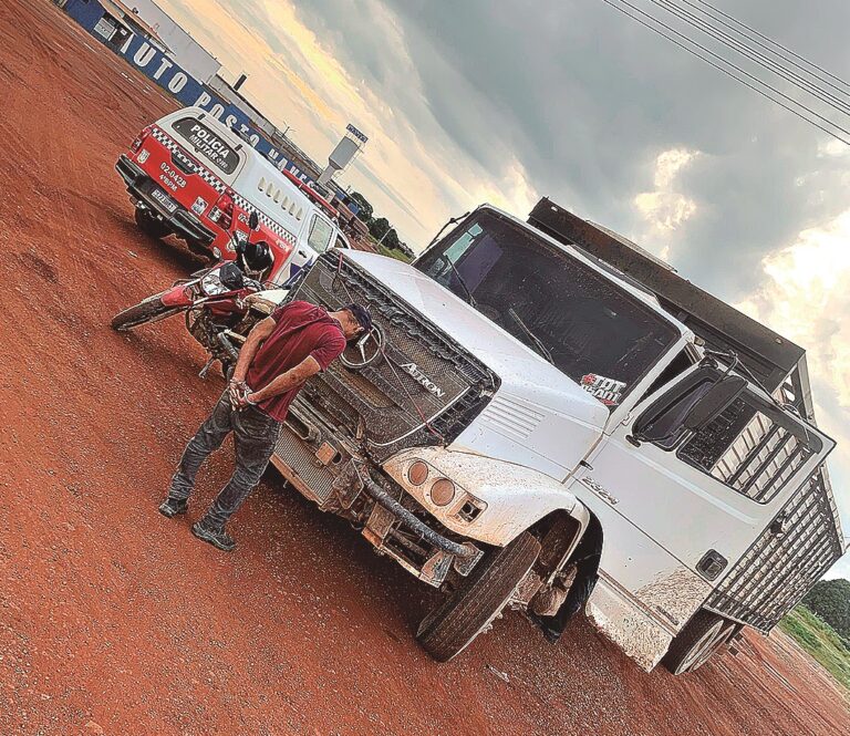 No PA, Polícia prende acusados de roubo de gado em flagrante