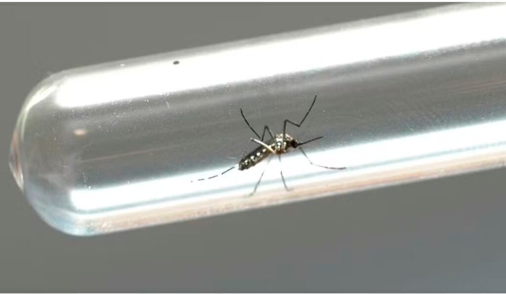 Cuiabá tem aumento de 85% nos casos de dengue em 2024