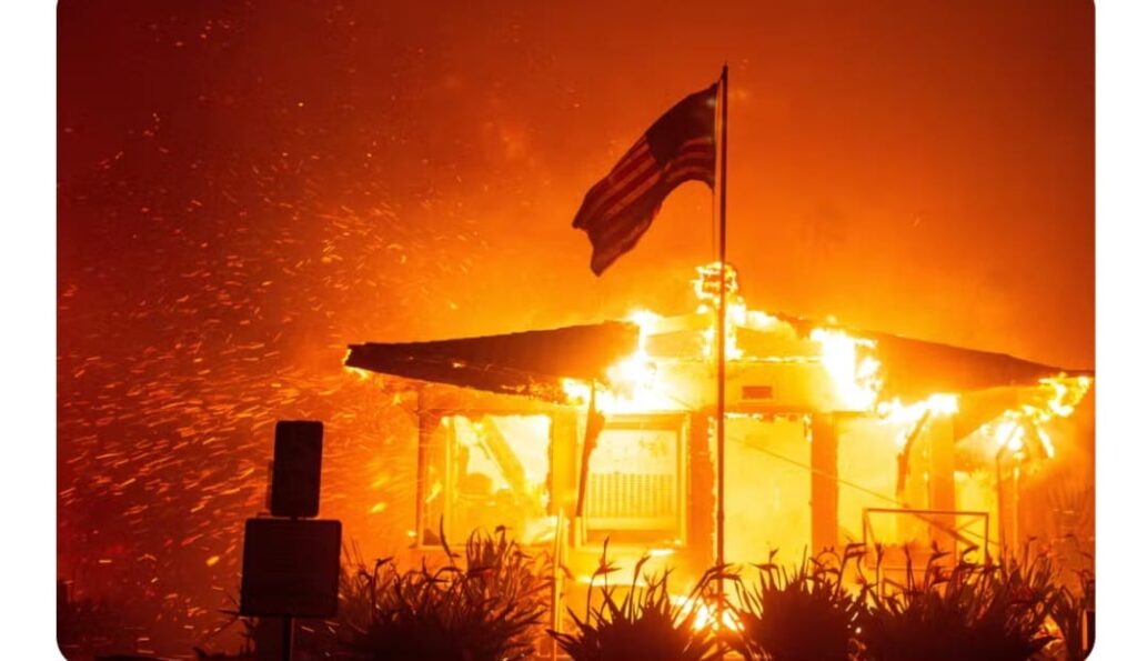 Incêndio devastador em floresta em Los Angeles