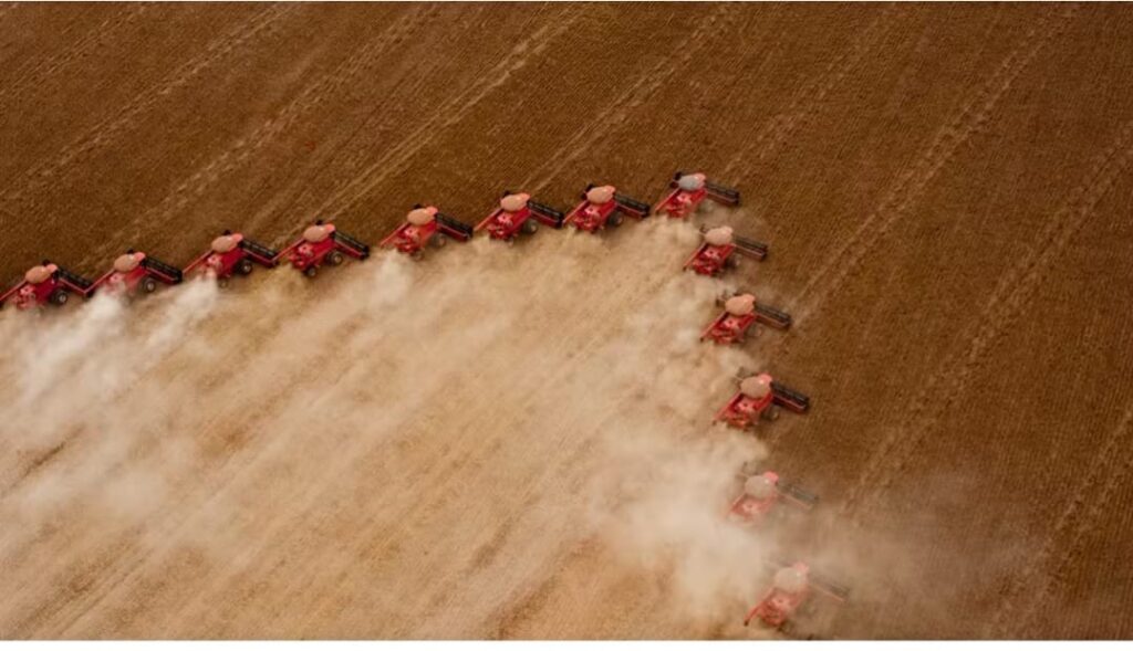 Estimativa aponta Mato Grosso com 2º maior PIB do país com destaque para agropecuária