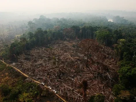 Apenas 5% das condenações por desmatamento ilegal na Amazônia geram indenizações pagas, aponta Imazon