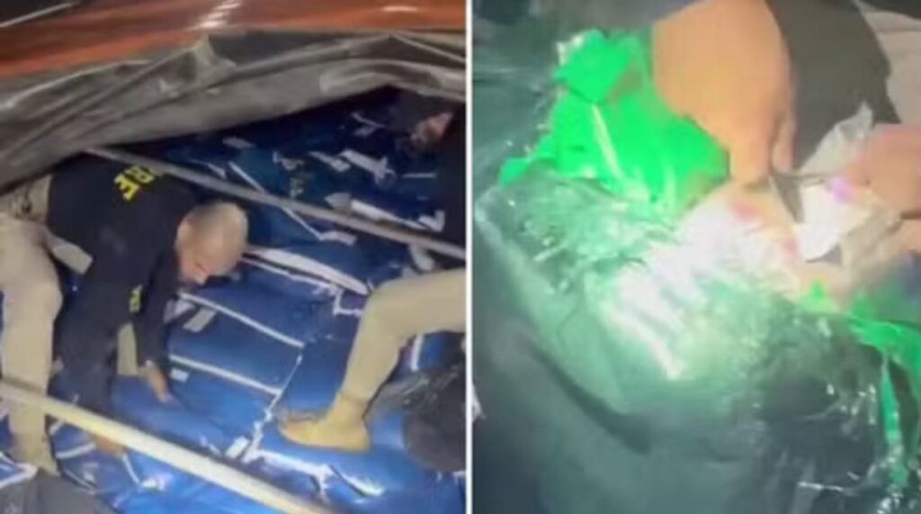 Em GO, Cocaína escondida em carga de milho: dois homens são presos com mais de 300 kg de droga em caminhão
