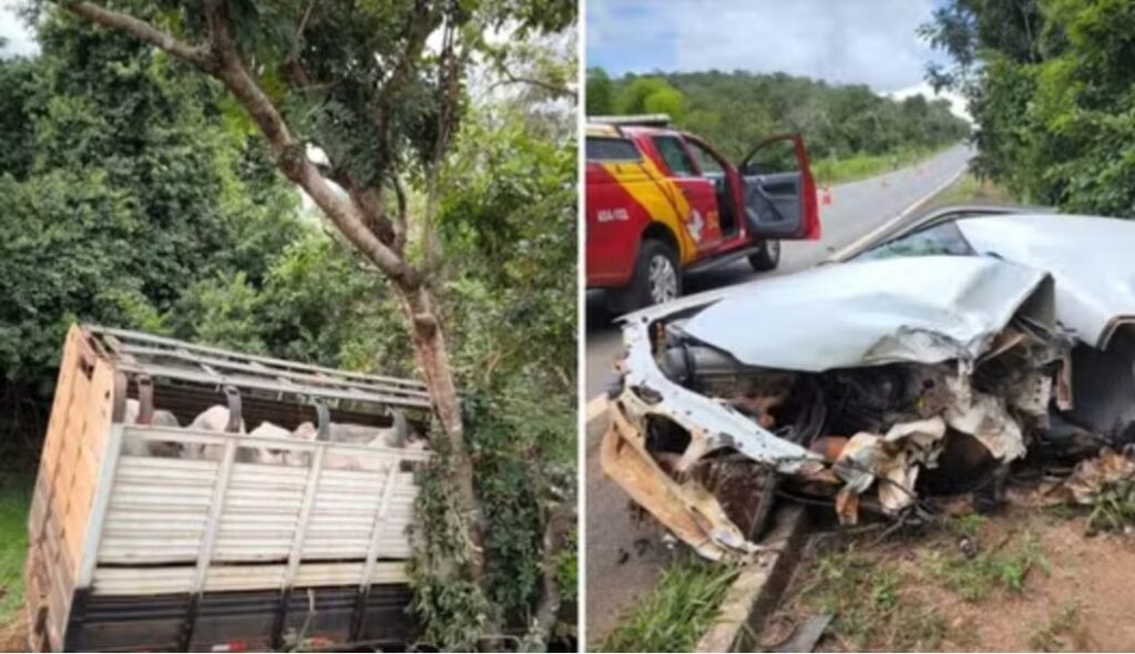 Em GO, Acidente entre carro e caminhão carregado com gado deixa três mortos