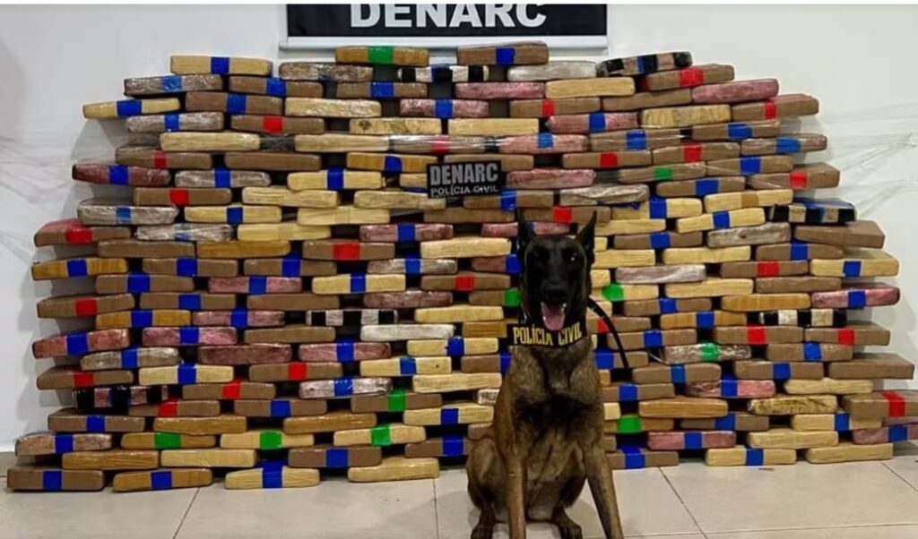 Colombiano é flagrado com 180 tabletes de drogas em residência