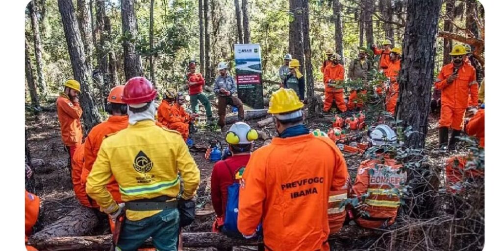 Decreto de Trump suspende parceria EUA-Brasil financiado pela USAID para combate a incêndios florestais