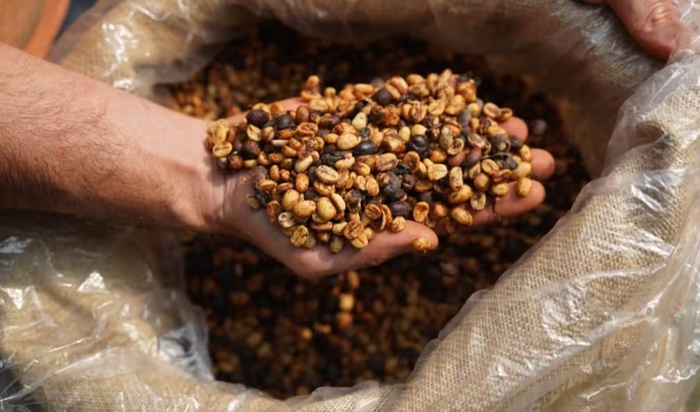 Vilão da cesta básica: café pode ficar até 25% mais caro nos próximos 2 meses no Brasil