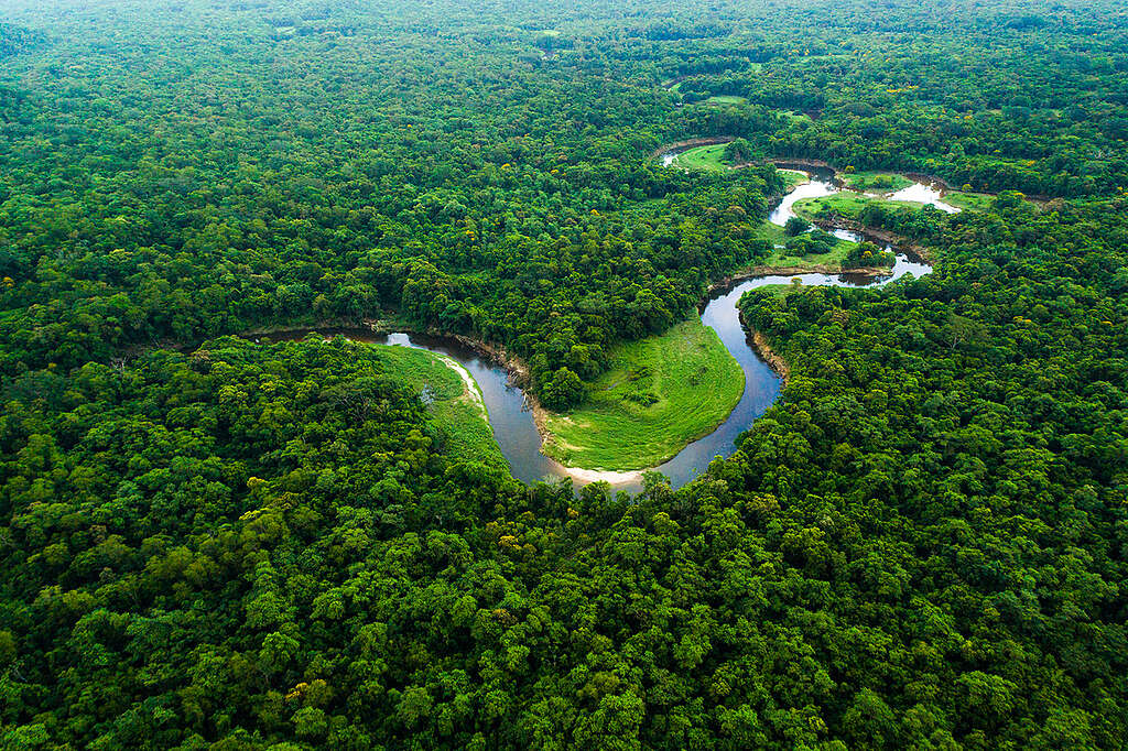 Unifesspa, UFPA e UFOPA vão estudar mudanças climáticas na Amazônia