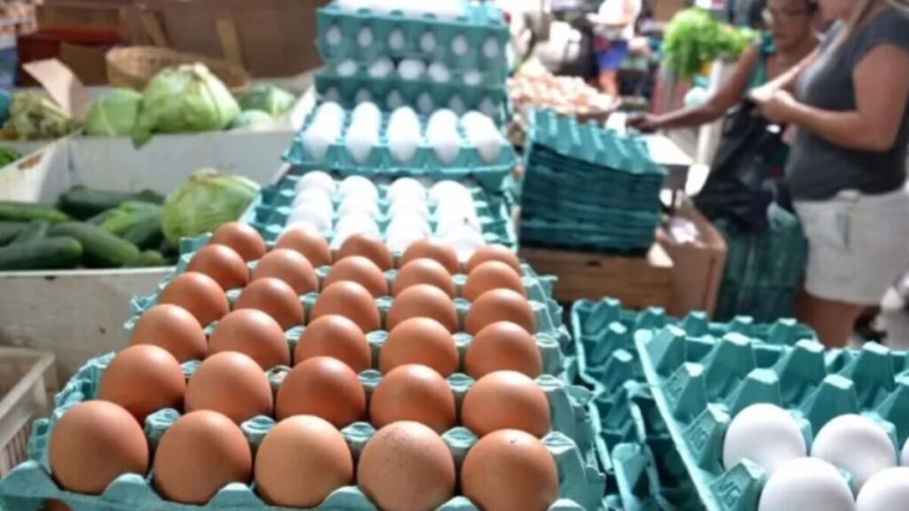 Preço do ovo dispara quase 20% em março; saiba quando pode baixar