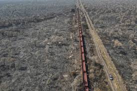 Parecer científico aponta falhas no estudo de viabilidade da Ferrogrão, projeto de ferrovia que liga PA ao MT para escoar grãos