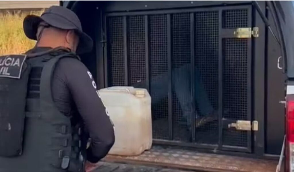 Operação prende 8 envolvidos com tráfico de drogas e associação criminosa no Pará