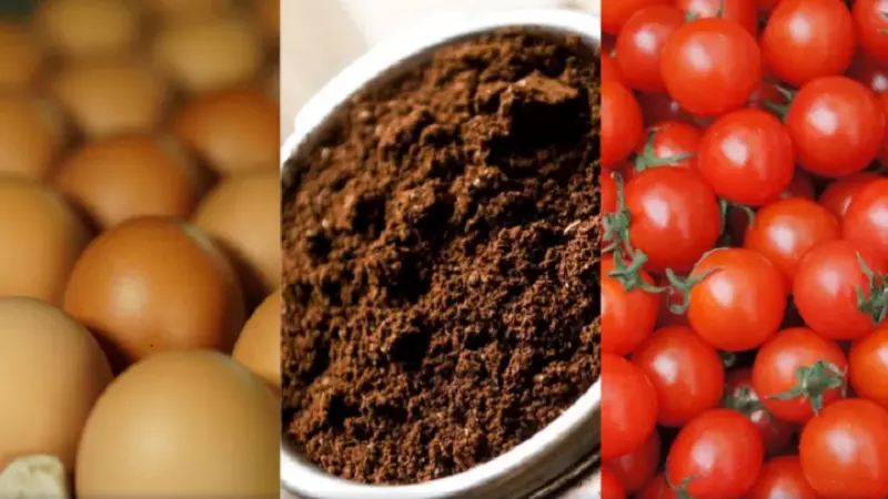 Tomate, ovo e café mais caros: Brasil tem maior inflação para março em 2 anos