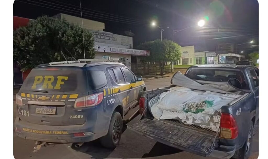 Mais de 2,7 mil explosivos são apreendidos escondidos em carro na BR-163 em MT