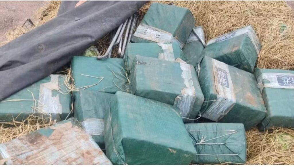 Meia tonelada de cocaína encontrada em caminhão de melancia no TO pode ter entrado no Brasil de avião, diz polícia