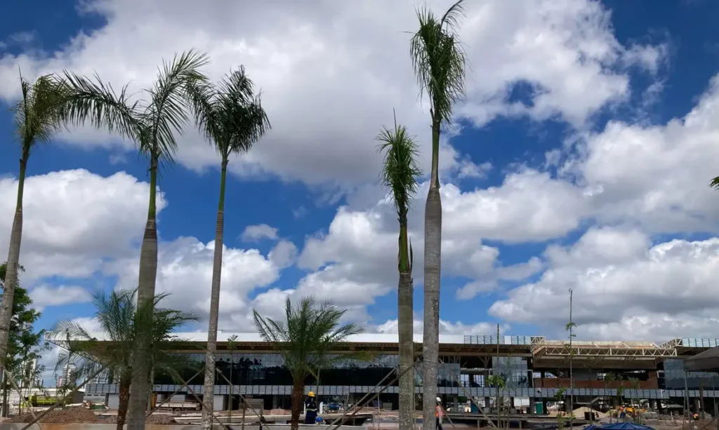 Obras estão no prazo, dizem organizadores da COP30 em Belém