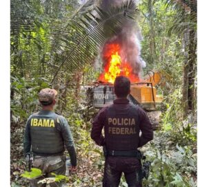 PF e Ibama destroem mais de R$ 2 milhões em equipamentos de garimpo ilegal em terras indígenas em RO e MT