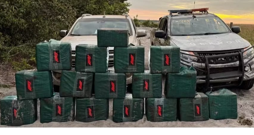 Mais de meia tonelada de droga é apreendida em caminhonete