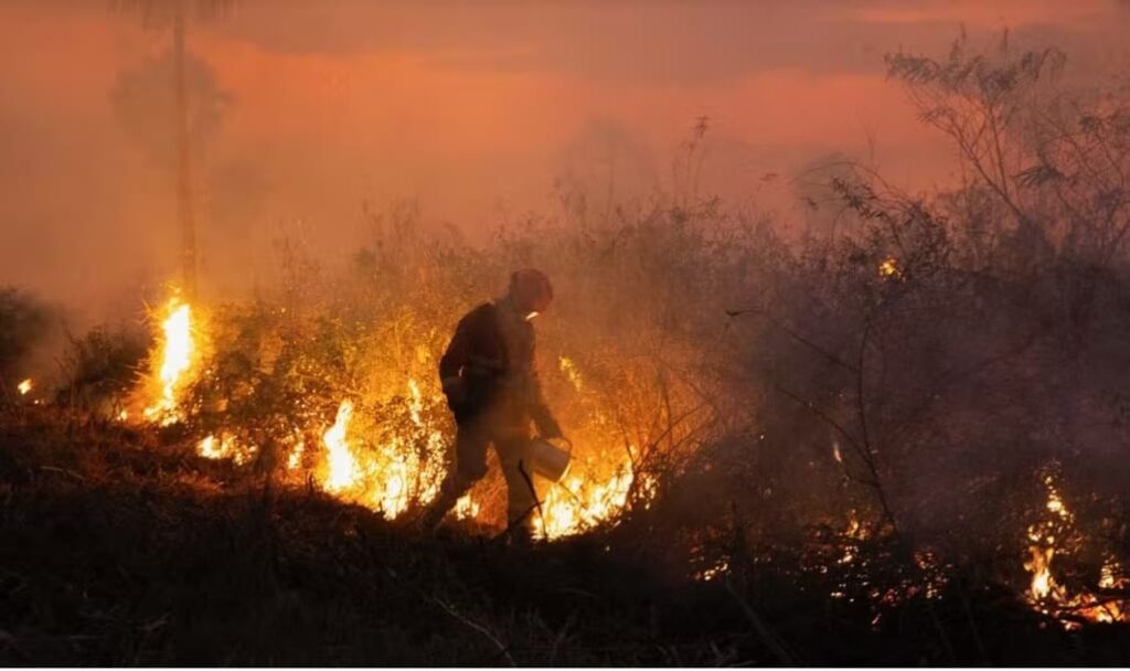 Decreto proíbe uso do fogo para limpeza e manejo de áreas rurais no Pantanal