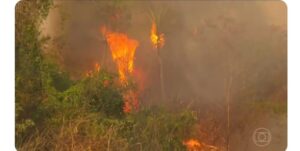 Área queimada na Amazônia e na Mata Atlântica foi a maior em 4 décadas em 2024