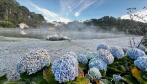 Onda de frio derruba temperaturas no Centro-Sul e deve provocar geadas