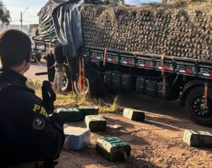 PRF apreende quase meia tonelada de cocaína em caminhão de abacaxi em Pau D`arco