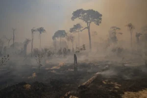 Justiça Federal torna réu fazendeiro acusado de incendiar terra pública e portar arma de uso restrito no Pará