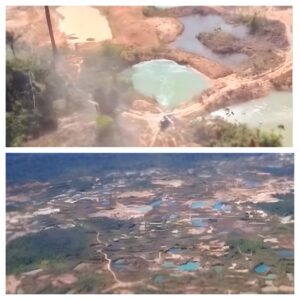 Ibama mostra imagens das marcas de destruição que garimpo ilegal deixa na TI Kayapó, no sul do Pará